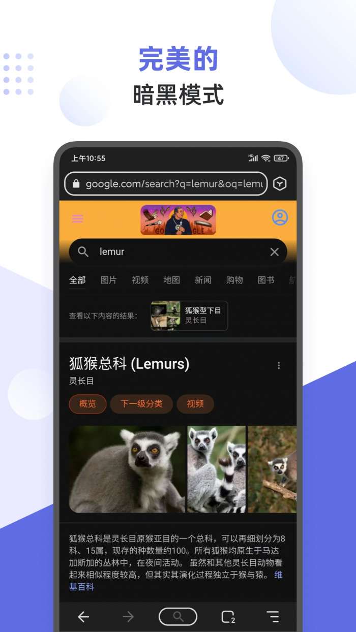 狐猴浏览器 官网版截图