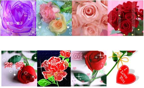 玫瑰花qq表情包截图