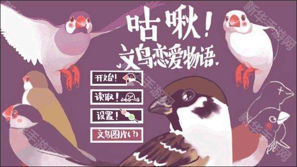 咕啾文鸟恋爱物语截图