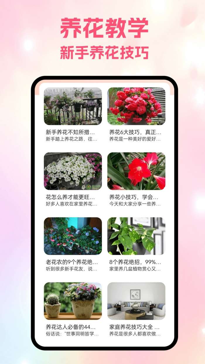 风信截图