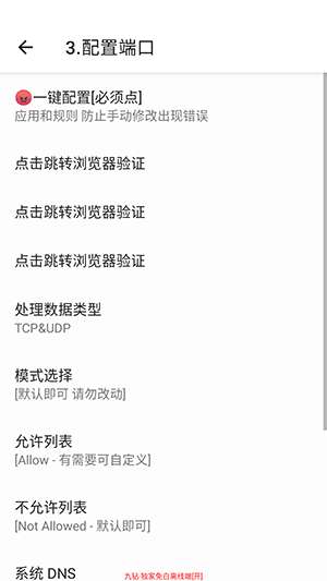 九钻端口 公益版截图
