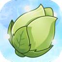 植物大战僵尸GhTr版 正版 v0.17f