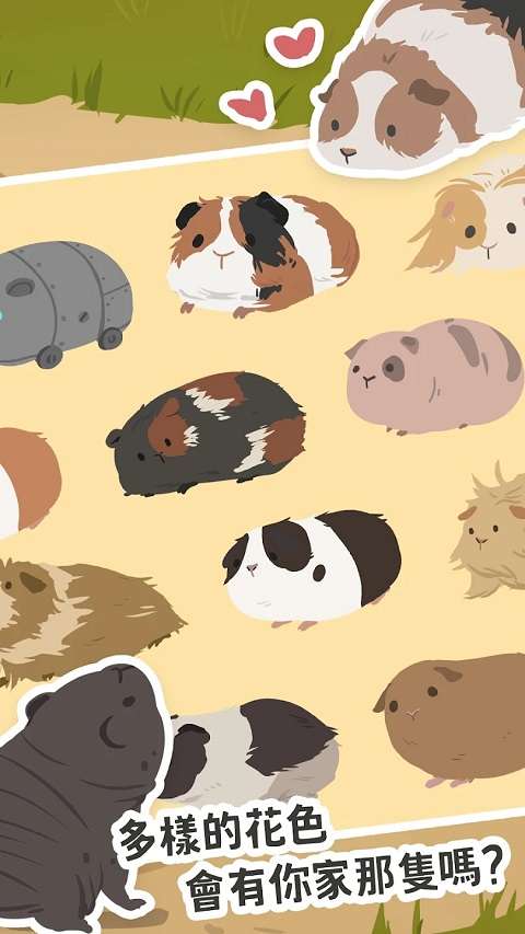 天竺鼠农场 官方正版截图