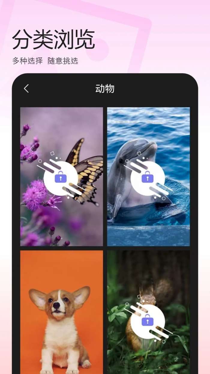 百变换壁纸 免费版截图