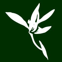 blumind思维导图工具 