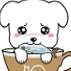 茶杯狗茶米表情包 