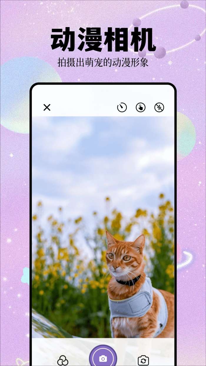 次元城 官方正版下载入口截图