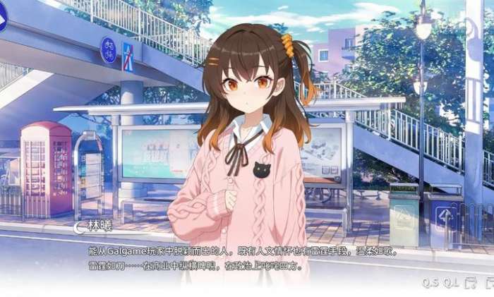 想成为Galgame领域大神 安卓版截图