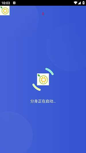 番石榴直装截图