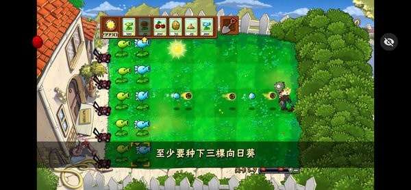 植物大战僵尸活死人之园 手机版截图