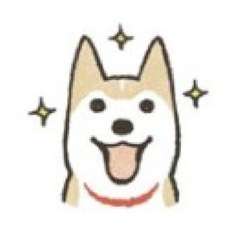 秋田犬搞笑表情包 