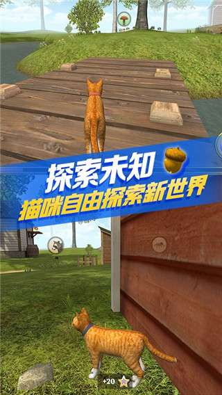 猫咪生存模拟器 最新版截图