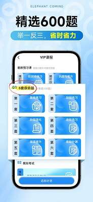 大象驾到Pro截图