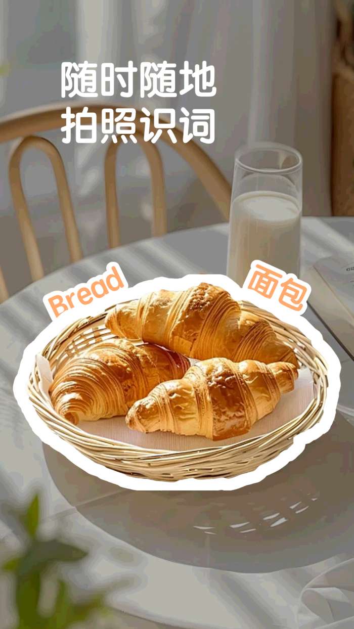 拍物识词截图