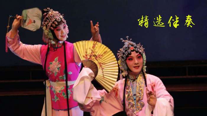 豫剧迷 TV版截图