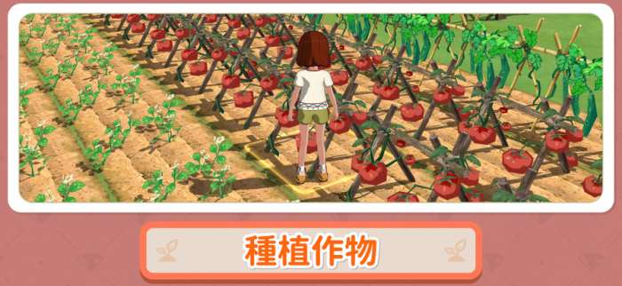 小森生活 官网最新版截图
