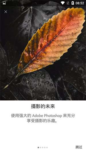 lightroom 手机安卓版截图