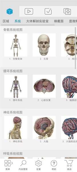 atlas人体解剖截图