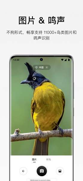 懂鸟截图