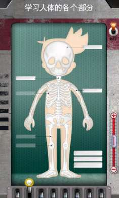 人体是如何运作的 手机版截图