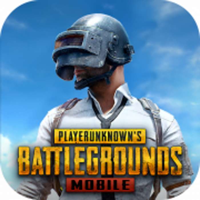 和平精英 国际服pubg下载 v2.4.0