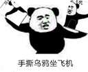 乌鸦坐飞机系列表情包 