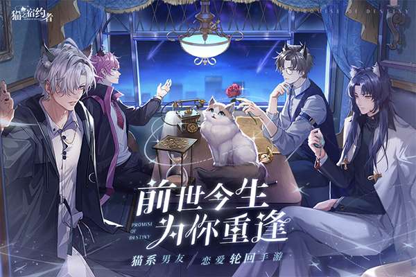 猫之宿约者 官方正版截图