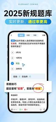 大象驾到Pro截图