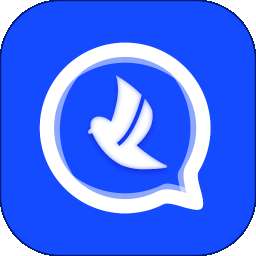 密鸽ai v2.1.2