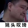 姚头叹琦gif动态表情包 