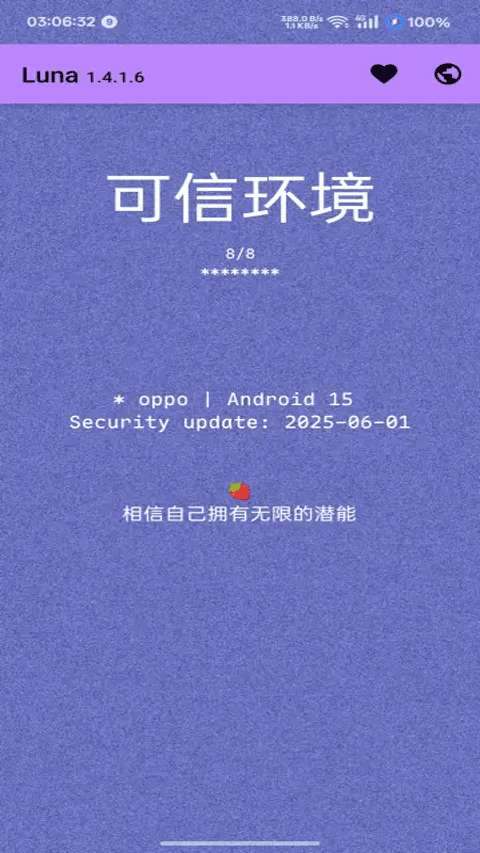 Luna环境检测工具 2026最新版截图