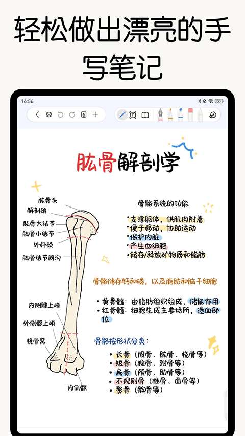 自由笔记截图