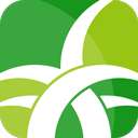 野草助手 2026电视版TV版 v1.0.4