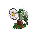 植物大战僵尸神金果冻人版 手机版 v1.1.3