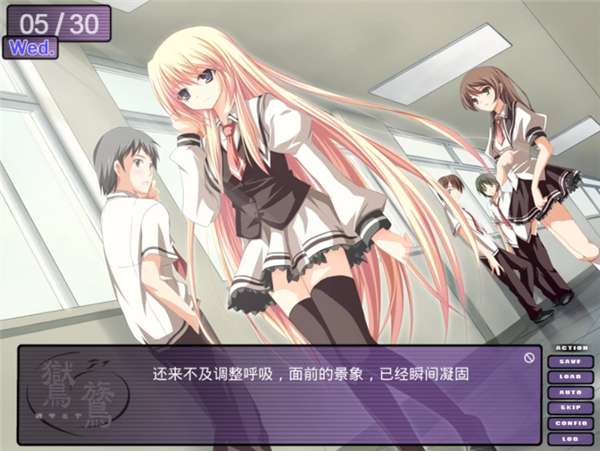 鸑鷟：镜花水月 汉化版截图