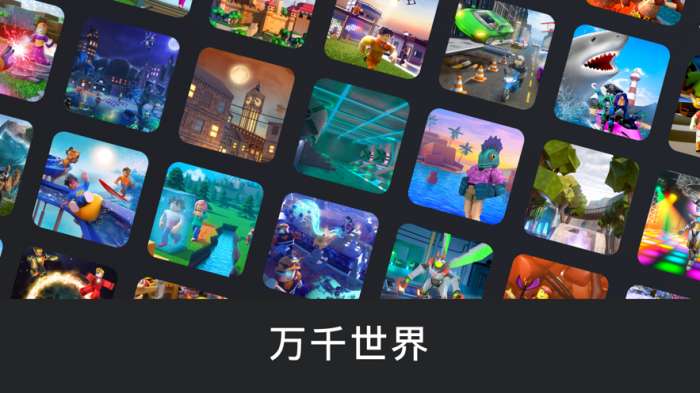 罗布乐思中文版截图