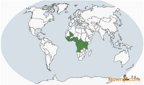 非洲示意图截图
