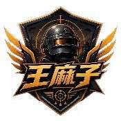 王麻子直装 密钥透 v6.0