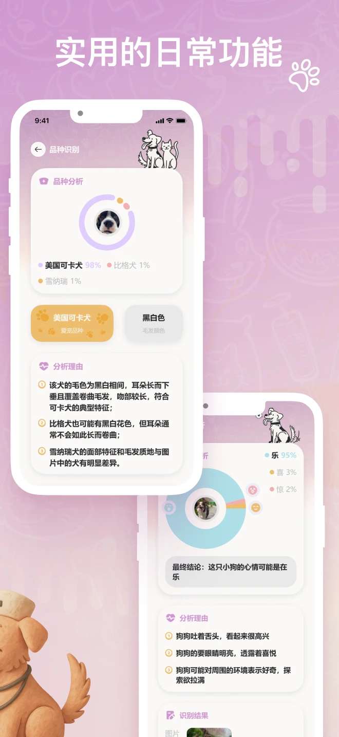 petpix截图