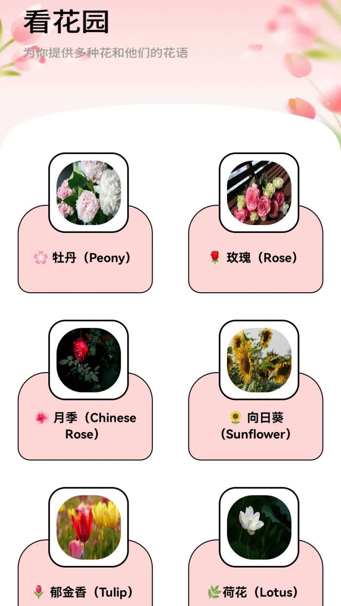 月光短剧 红包版截图