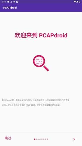 pcapdroid截图