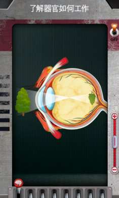 人体是如何运作的 最新版截图