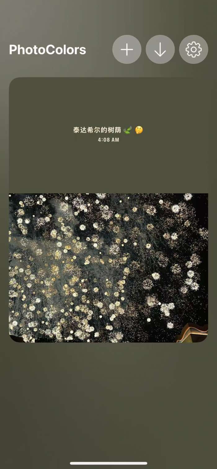 PhotoColors 最新版截图