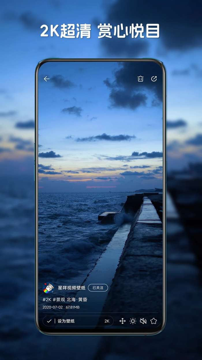 星咩视频壁纸 最新版本截图