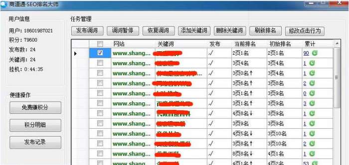 商道通seo排名大师截图
