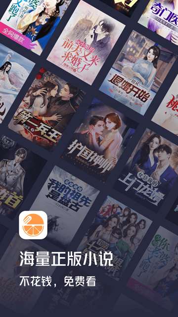 青橙小说 旧版本截图