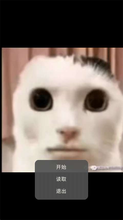 猫猫惊魂 安卓版截图