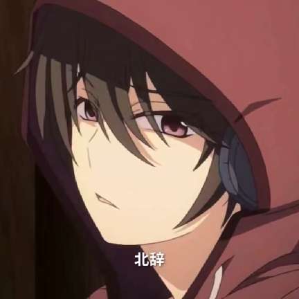 北辞弱网 16.0公益版 v16.0