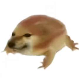 我的刀盾 2026最新版 v1.0