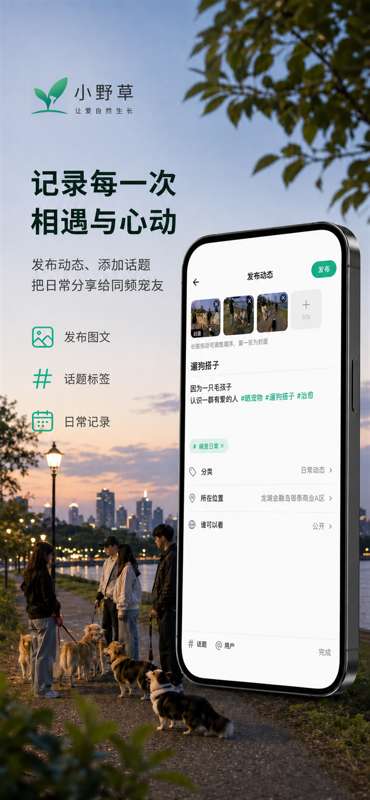 小野草截图